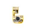 To add this item in your Shopping Cart drag and drop this picture there