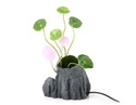 To add this item in your Shopping Cart drag and drop this picture there