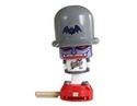 To add this item in your Shopping Cart drag and drop this picture there