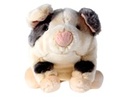 To add this item in your Shopping Cart drag and drop this picture there