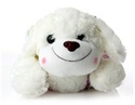 To add this item in your Shopping Cart drag and drop this picture there