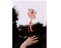To add this item in your Shopping Cart drag and drop this picture there