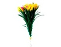 To add this item in your Shopping Cart drag and drop this picture there