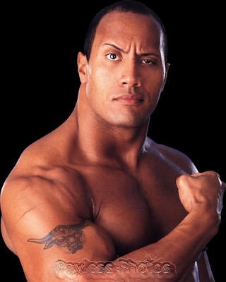 WWE The Rock Shirtless Dwayne Johnson The Scorpion King Fast Five X Photo PaylessPhotos