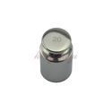 F1 Class 20G 304 Stainless Steel Calibration Weigh
