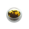 Handmade 50ml 6pcs Double Layer Glass Coffee Tea C