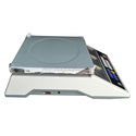15kg x0.5g Precision Digital Counting Parts Scale,