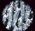 60X Portable Helicoid Focus Stand Shop Measuring M