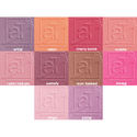 atskincare aT blush perfect blushes