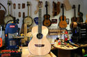 Hand-crafted Boss Gitarre Stella style 12 string