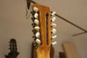 Handcrafted Holzapfel 12 string replica by Boss Gi