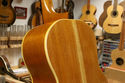 Handcrafted Holzapfel 12 string replica by Boss Gi