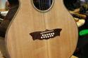 Hand-crafted Boss Gitarre Stella style 12 string