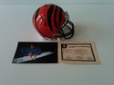 Cedric Benson Auto Mini Helmet