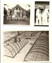 WWII USN SEABEES 55TH BUILD BARRACKS PACIFIC BASES