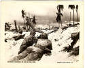 WWII USMC PHOTO COLLECTION HUGE  LOT OF 90 BATTLES