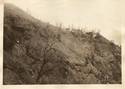 WWI GERMAN PHOTOGRAPHS OF BATTLE DAMAGE & BRIDGE D