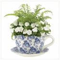 Click here to view item details