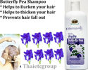 Abhaibhubejhr Butterfly Pea Dok Anchan Shampoo Con