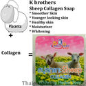 12 K Brother Bath & Body Sheep Collagen Whitening 