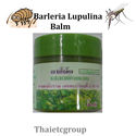 12 Pathom Asoke HERBAL GREEN BALM BARLERIA LUPULIN