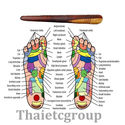 10 pcs Thai Traditional Reflexology Foot massage R