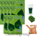 10 Chlorophyll Instant Dietary Supplement drink Po
