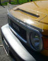 The Bug Shield by Armadillo, Custom Fit Hood Defle