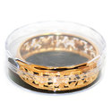To add this item in your Shopping Cart drag and drop this picture there