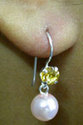 To add this item in your Shopping Cart drag and drop this picture there