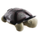 To add this item in your Shopping Cart drag and drop this picture there