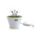 To add this item in your Shopping Cart drag and drop this picture there