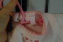 Dylan & Abby pink sweater dress embroidered w/ pin