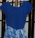 Royal blue &white leotard w/attached skirt silver 