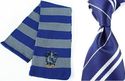 Harry Potter Ravenclaw Costume Dress Accessory Set