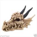 DRAGON SKULL TREASURE OR TRINKET BOX**NIB