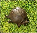 CAST IRON GARDEN LADYBUG KEY HIDER**NIB