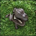GARDEN FROG "HIDE-A-KEY" KEY HIDER SCULPTURE**NIB