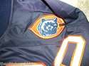 GALE SAYERS BEARS THROWBACK JERSEY GAI PSA DNA JSA