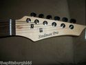 LINDSEY BUCKINGHAM FLEETWOOD MAC  GUITAR PSA DNA J