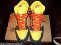 NEW IN BOX NIKE  DUNK  HI  SHOE SIZE 10