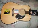 NICE LOU REED SIGNED VELVET UNDERGROUND GUITAR PSA