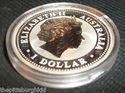 2006 Australian Lunar Year of the dog 1 oz. Silver