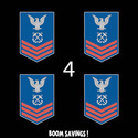 USCG Rank Petty Officer First Class E6 Data Proces