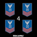 USCG Rank Petty Officer First Class E6 Electronics
