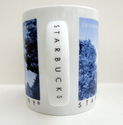 Starbucks Edinburgh Scotland City Scene Series Mug