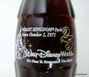 Walt Disney World Magic Kingdom Park 25th Annivers