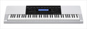NIOB CASIO WK-220 Electronic Keyboard w/stand  76 