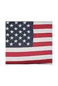 4th July Patriotic Pride USA  American Flag  Scarf