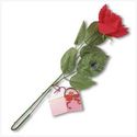 VALENTINES MUSICAL RED ROSE (NEW)